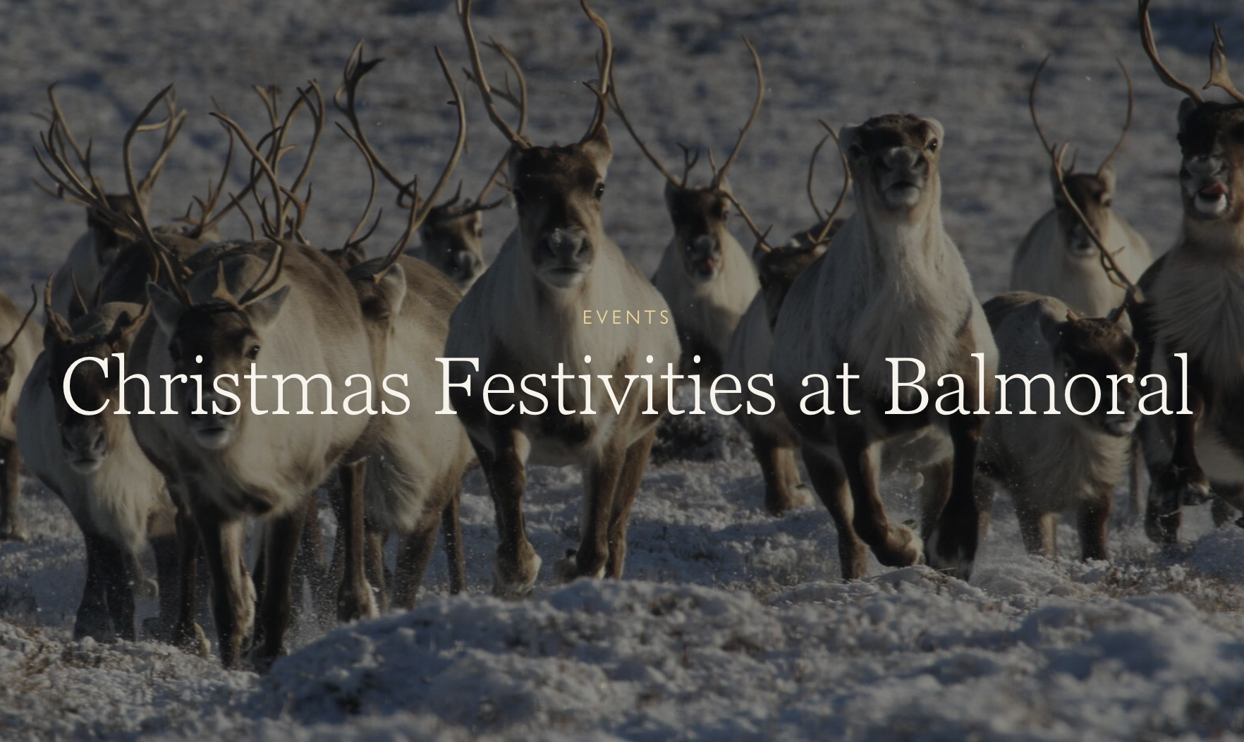 Balmoral Castle Festive Lunch 